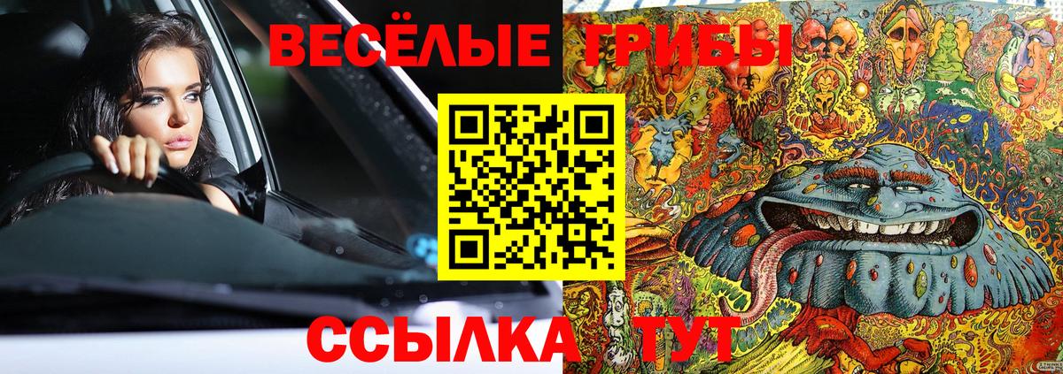 Курчатов  Псилоцибиновые грибы MAGIC MUSHROOMS  Вход с VPN 