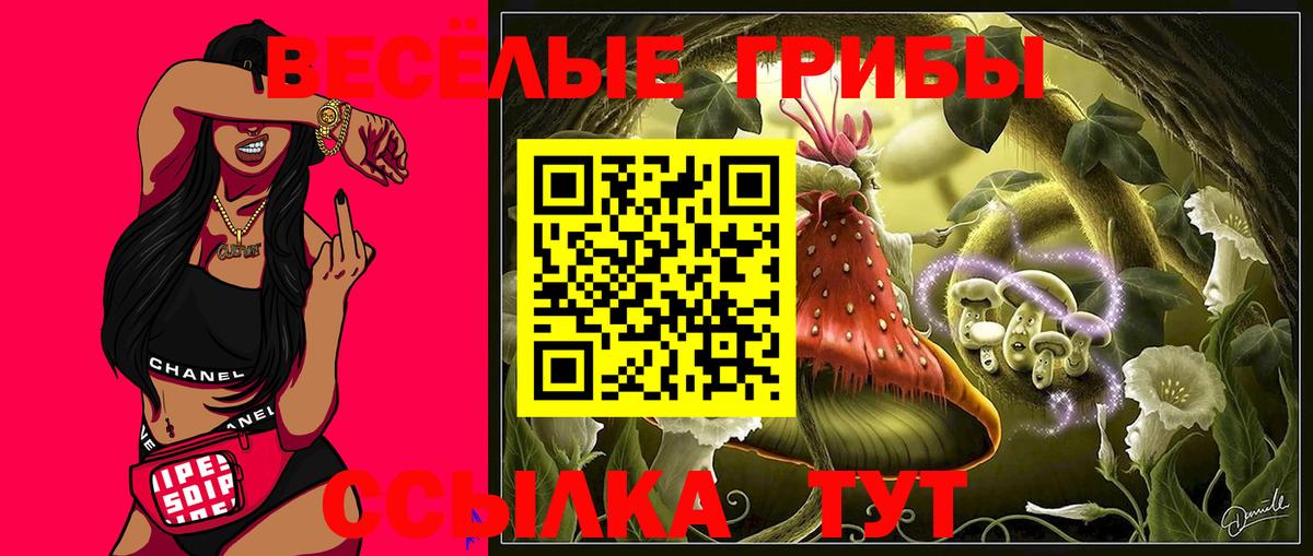 Псилоцибиновые грибы мухоморы Курчатов